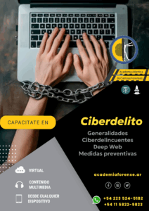 Introducción a los delitos Informáticos