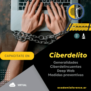 Introducción a los delitos Informáticos